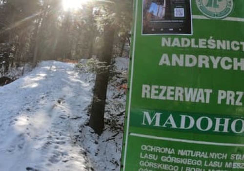 Tylko Lasy Państwowe były przeciwko. Rezerwat w Beskidzie Małym będzie powiększony do 400 ha