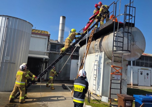 Ćwiczenia w firmie Bonduelle Polska S.A. Zakład Produkcyjny w Ruchocicach