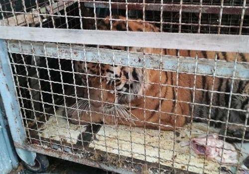 Finał sprawy „transportu śmierci” zatrzymanego na granicy polsko-białoruskiej. Trzy osoby skazane, dwie uniewinnione