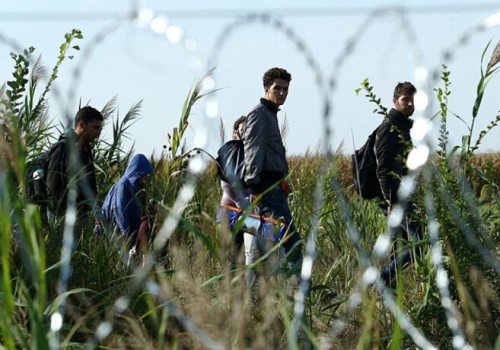 Sąd w Lublinie skazał przestępców z Ukrainy i Turkmenistanu. Przemycali migrantów