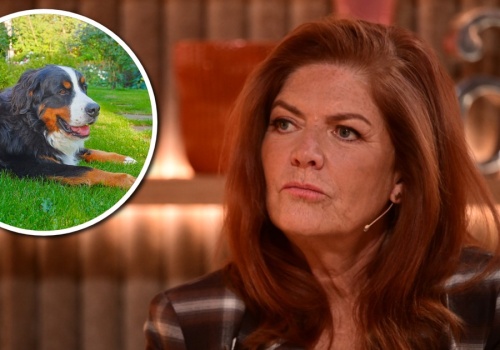 Katarzyna Dowbor przeżywa trudne chwile. Chodzi o psa Stefana. 