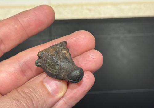 Turysta znalazł jedyną w swoim rodzaju prehistoryczną głowę byka z brązu