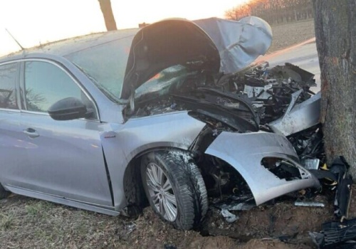 Uderzył w drzewo przy przystanku autobusowym