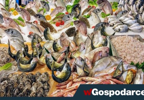 Po jakie ryby i ile sięgać?