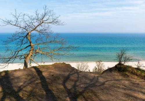 Rewolucyjne zmiany w L4 od kwietnia. Dotyczą m.in. wyjazdu za granicę