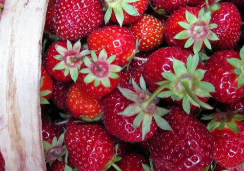 Ile zapłacimy za polskie truskawki? Gorszego scenariusza nie chcesz znać