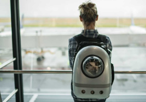 Tysiąc lotów odwołanych. Paliwo lotnicze rekordowo drogie