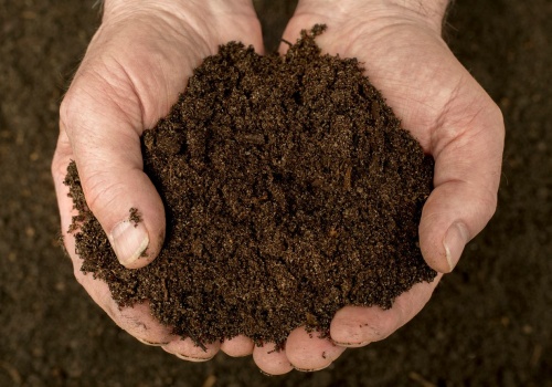 Nie kupuję już ziemi w workach. Zamiast tego biorę coś z kuchni i mam lepszy efekt
