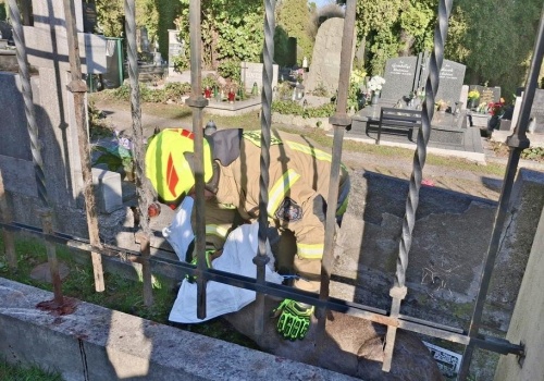 Nietypowa akcja w Cieszynie. Strażacy i strażnicy miejscy ruszyli na ratunek… sarnie