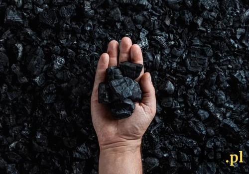 Podano termin zakazu sprzedaży węgla i ekogroszku dla gospodarstw domowych. Po tej dacie już nie kupisz opału