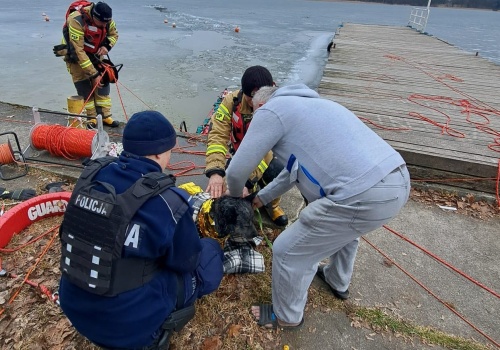 Lód się załamał, pies wpadł do wody. Dramatyczna akcja na jeziorze