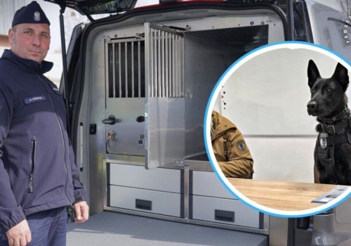 Nowe radiowozy dla psów służbowych w opolskiej policji. Fordy za 800 tysięcy złotych