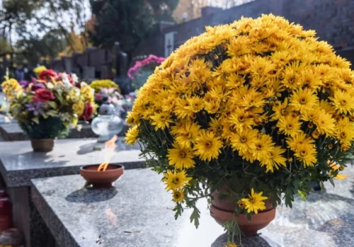 Zmarli we Wrocławiu - pogrzeby zaplanowane na 21.03.2026 – nekrologi