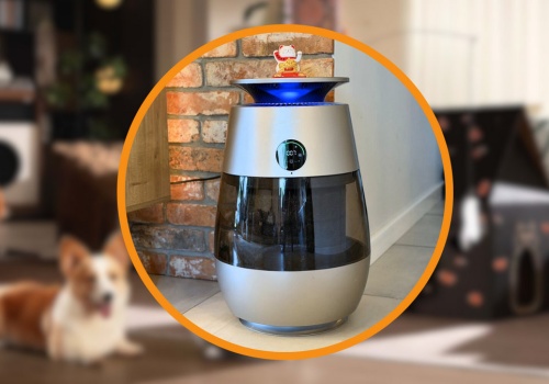 Recenzja Dreame AP10. Oczyszczacz powietrza, który faworyzuje koty