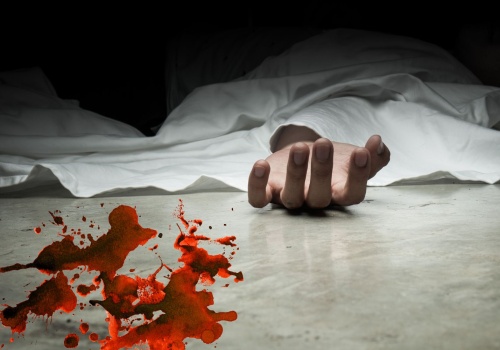 Gang kantorowców – reaktywacja