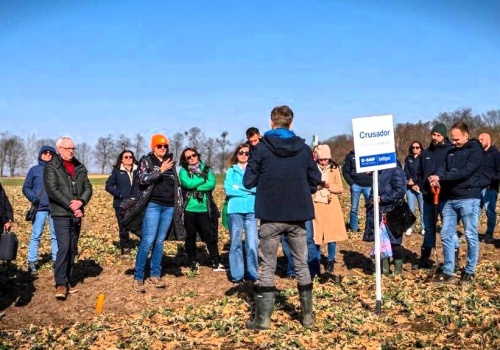 BASF ocenia uprawy. Wiosenna ochrona rzepaku i zbóż rusza