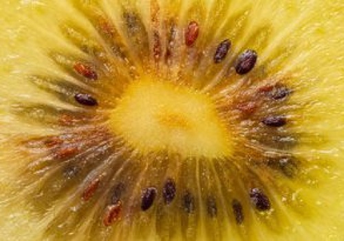 Jedz codziennie przed snem. Szybciej uśniesz, a rano wstaniesz wypoczęty