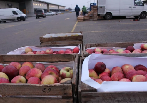 Czy to początek końca drewnianych skrzynek? Związek Sadowników pyta sadowników