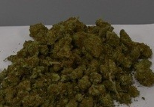 Turek. Dziewiętnastolatek miał ponad kilogram narkotyków. Trafił do aresztu