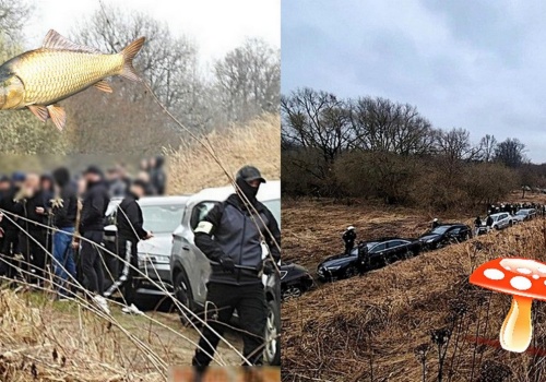 Albo kibice tłumnie poszli na grzyby, albo policja zapobiegła ustawce na 200 osób