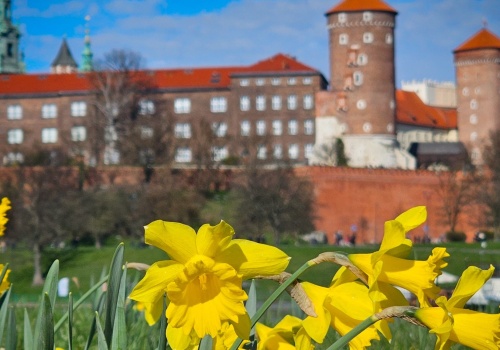 Co robić w pierwszy wiosenny weekend w Krakowie?