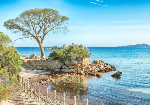 ✨Francuskie dwa w jednym 😎 🇫🇷  Korsyka z przystankiem w Nicei od 471 PLN 🚢 ✨