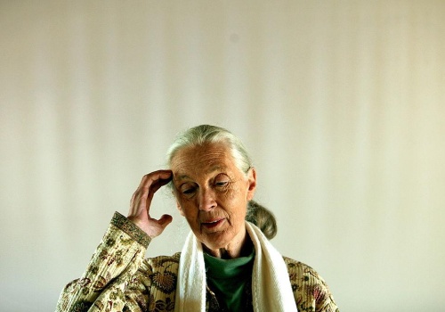 Ja i moja mama wylałyśmy morze łez podczas seansu. Ta produkcja Netflixa pomoże tym, którzy stracili wiarę w ludzi