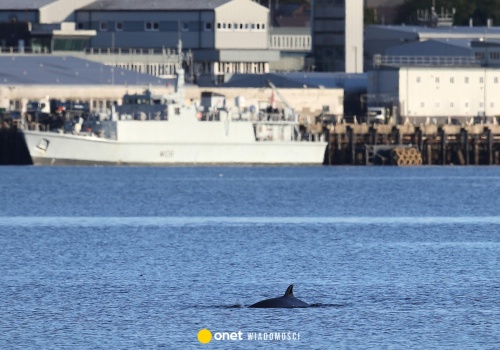 Okręty z bronią nuklearną na celowniku szpiegów z Iranu. Royal Navy reaguje