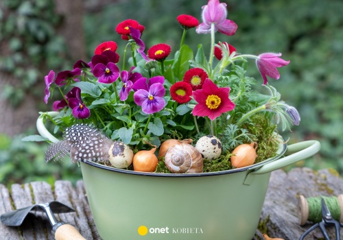 Jakie ptaki wracają na wiosnę z ciepłych krajów? Nie chodzi o bociany