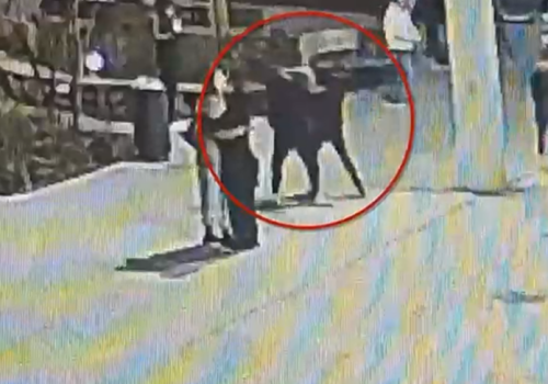 Brutalne pobicie w centrum Warszawy. Mężczyzna zaatakował 20-letniego obywatela Ukrainy w kryzysie bezdomności. Poszkodowany jest w stanie krytycznym