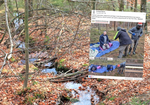 Niemiecka prasa rozpisuje się o znalezisku w Polsce. 