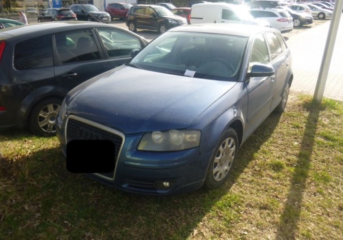 Zagubiony telefon, pies uciekinier, parkowanie na trawnikach. Interwencje Straży Miejskiej