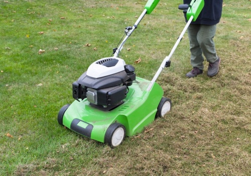 Jak nie zniszczyć trawnika i dobrze odświeżyć go po zimie?