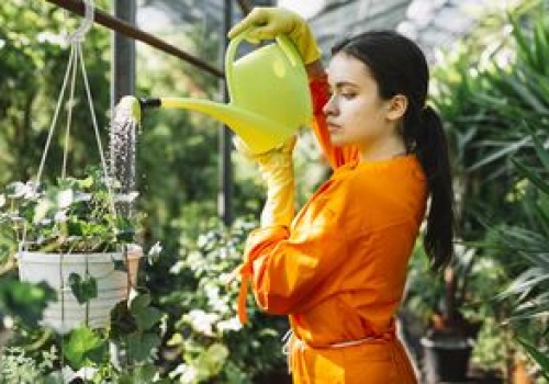 Zrobisz je w święta. Nie wyrzucaj, twoje rośliny ci podziękują