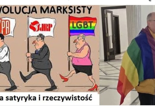 Granice wstydu? Decyzja NSA i polityczna euforia