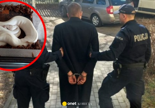 Zostali wezwani do piszczącego psa. Na miejscu odkryli trzy terraria