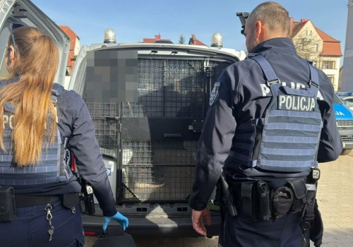 Domowy koszmar 55-latki trwał latami. Syn dotkliwie znęcał się nad matką