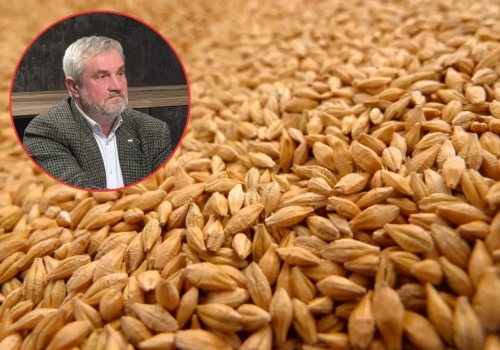 Zboże zalega w magazynach, a ceny nie rosną. Ardanowski: To może być katastrofa przed żniwami