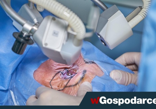 Dieta może zmniejszać ryzyko zaćmy