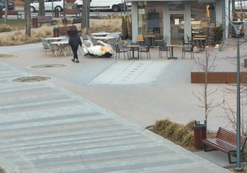 Kopnął krowę. Teraz grozi mu 5 lat więzienia