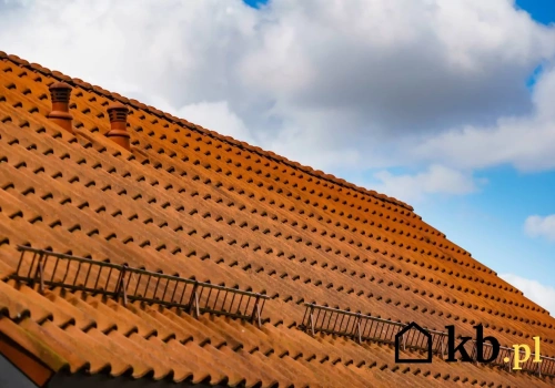 Dach psuje się po cichu. Pierwsze objawy po zimie łatwo przeoczyć