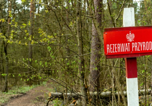 Ochrona środowiska ważniejsza od PKB. Nowe wyniki badań opinii publicznej