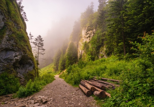 Magiczny szlak, który znajdziesz w Polsce. Legendy głoszą, że jest tam ukryty skarb