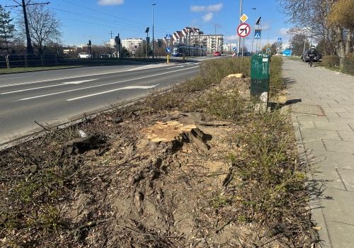 W Bronowicach zniknely drzewa. Trwa przygotowanie terenu pod węzeł przesiadkowy i parking P&R