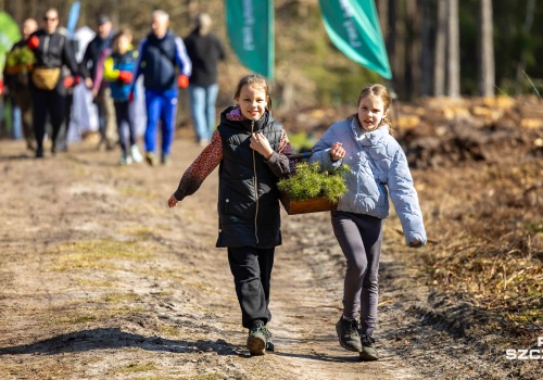 Kilka tysięcy nowych drzewek w Nadleśnictwie Trzebież