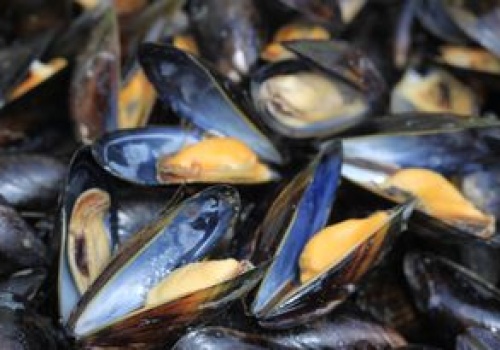 Jeden z najlepszych produktów, jakie znajdziesz na dziele rybnym. Polacy wzdrygają się na samą myśl