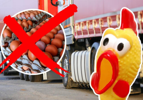 Transport żywności z Ukrainy zatrzymany. Cofnęli nagle 300 tysięcy sztuk jaj