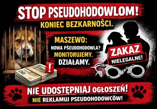 „Stop” pseudohodowlom! Fundacja Wspólna Inicjatywa dla Zwierząt monitoruje sytuację w Maszewie