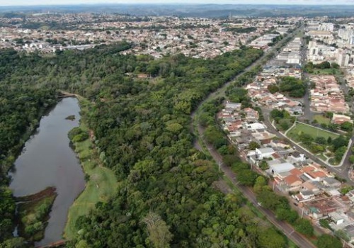 Ranking polskich miast z największą ilością lasów. Liderzy mogą zaskoczyć