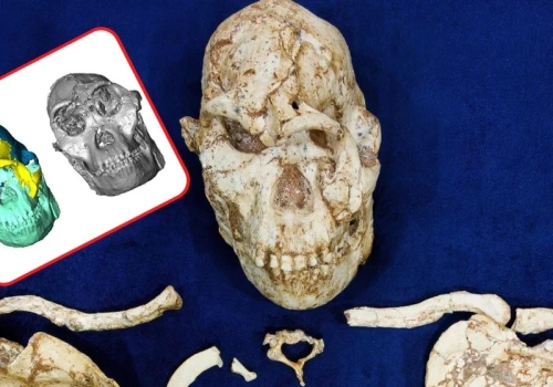 Naukowcy zrekonstruowali twarz „Małej Stopy”. Zauważyli nieoczekiwane podobieństwo